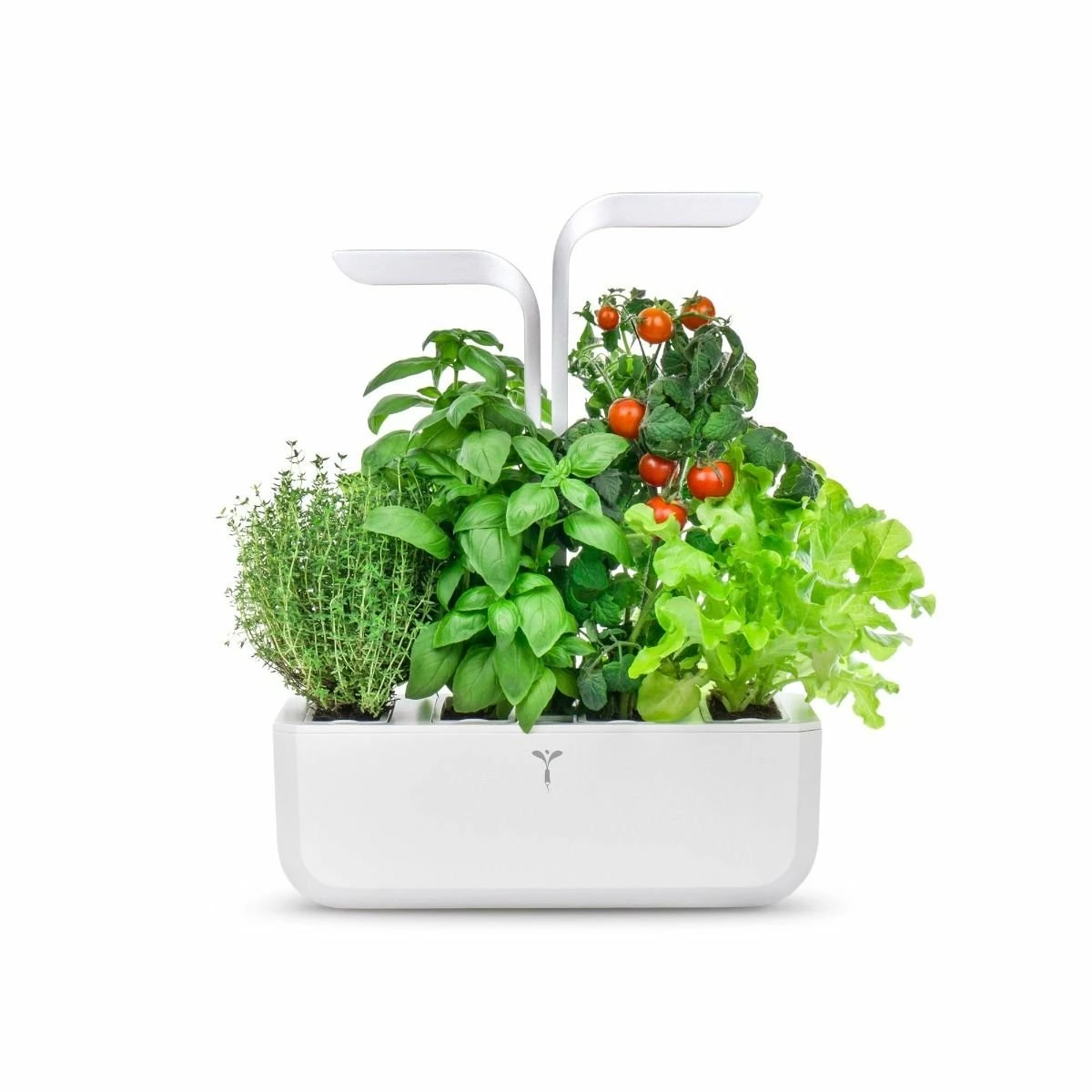 Veritable® CLASSIC Garden 8 Veritable® CLASSIC Garden - Image 6