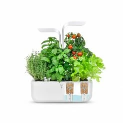 Veritable® CLASSIC Garden 20 Veritable® CLASSIC Garden -Curious Shop veritable classic 12