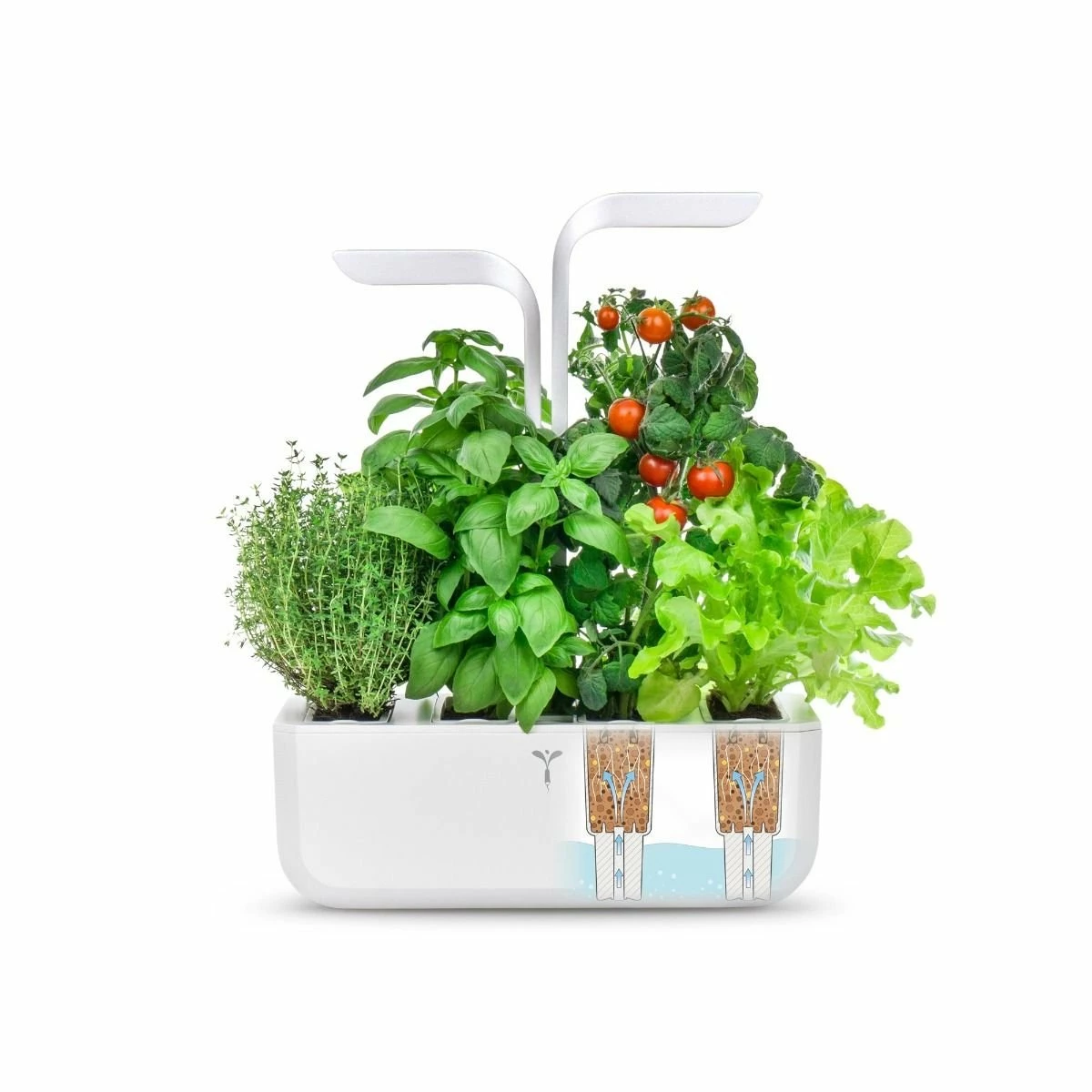 Veritable® CLASSIC Garden 9 Veritable® CLASSIC Garden - Image 7