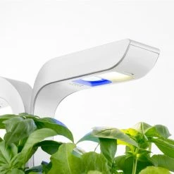 Veritable® CLASSIC Garden 23 Veritable® CLASSIC Garden -Curious Shop veritable classic 14