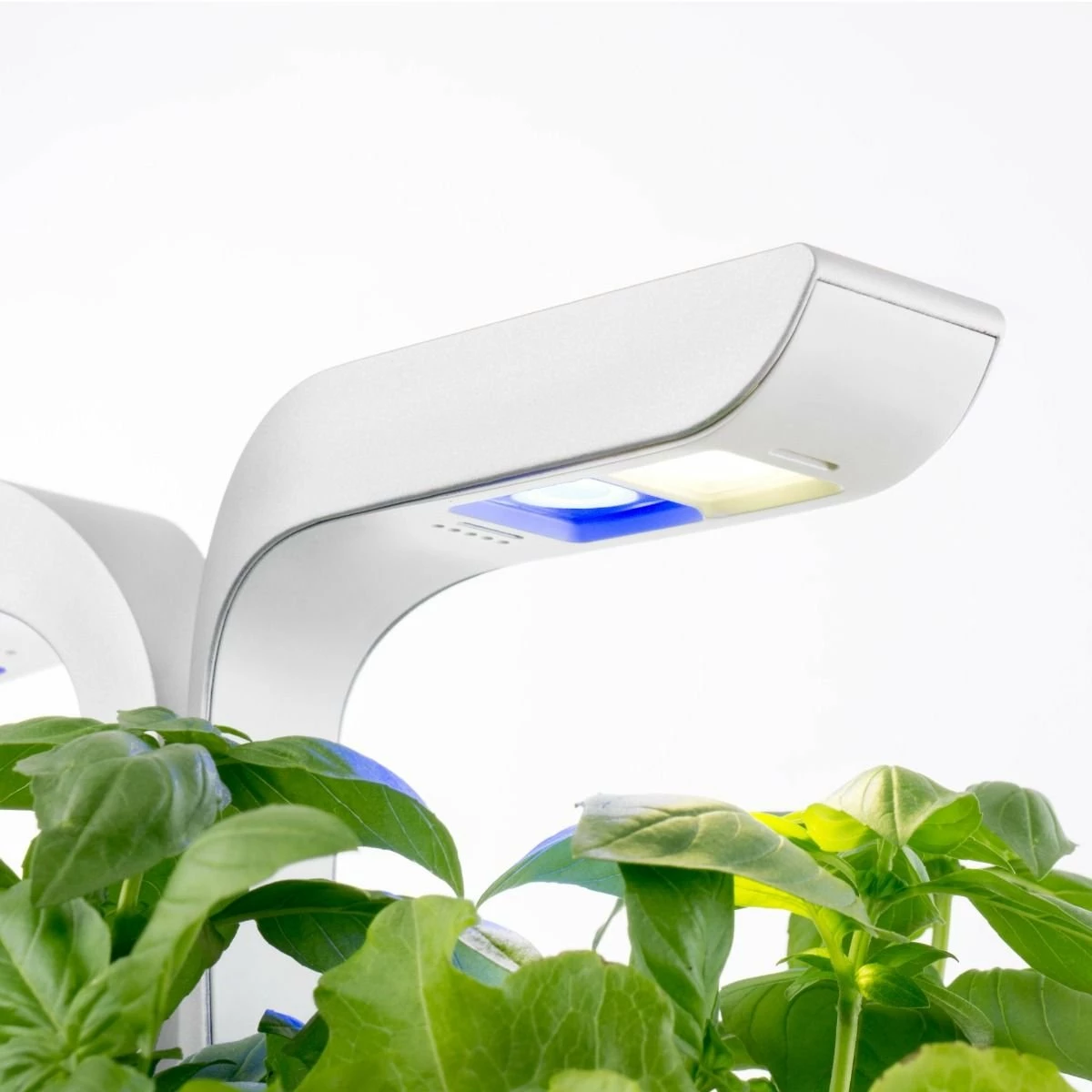 Veritable® CLASSIC Garden 12 Veritable® CLASSIC Garden - Image 10