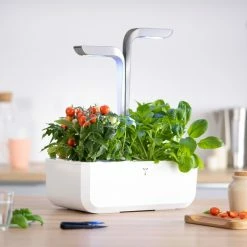 Veritable® SMART Garden | Arctic White -Curious Shop veritable smart 11