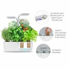 Veritable® SMART Garden | Arctic White -Curious Shop veritable smart 15