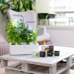 Veritable® SMART Garden | Arctic White -Curious Shop veritable smart 1