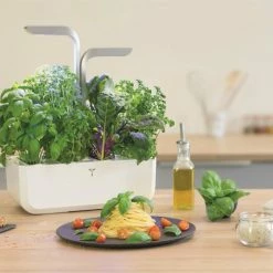 Veritable® SMART Garden | Arctic White -Curious Shop veritable smart 6