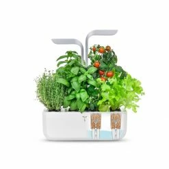 Veritable® SMART Garden | Arctic White -Curious Shop veritable smart 8