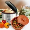 VitaClay 2-in-1 Rice Slow Cooker & Clay Insert - Round 8 Cup / 4.2-Quart 2 VitaClay 2-in-1 Rice Slow Cooker & Clay Insert - Round 8 Cup / 4.2-Quart -Curious Shop vitaclay rice cooker 8cup vf7700 8